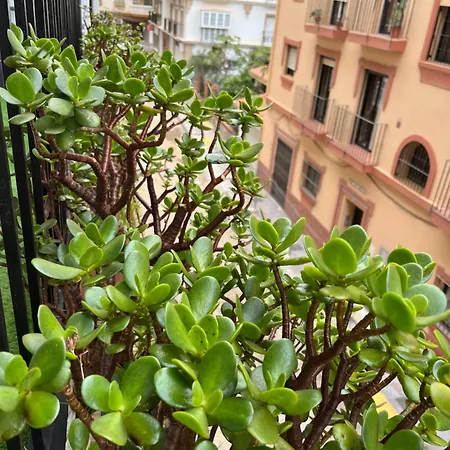 Small 公寓 *